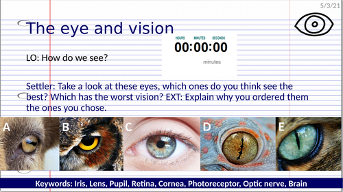 KS3 Light - The eye and vision