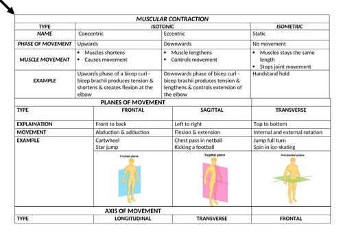 Alevel Pe OCR Physiology & Biomechanics Notes