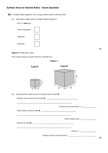 Surface Area to Volume Ratio (Cell Biology) KS4 AQA | Teaching Resources