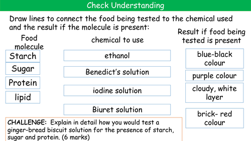 AQA 9-1 Biology Enzymes and Digestion Exam Question Practice Revision ...