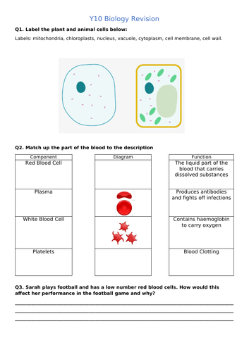 igcse biology revision sheets teaching resources