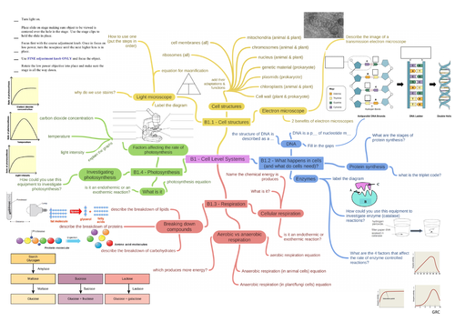 Ocr Biology B1 Cell Level Systems Revision Mind Map Teaching 4594