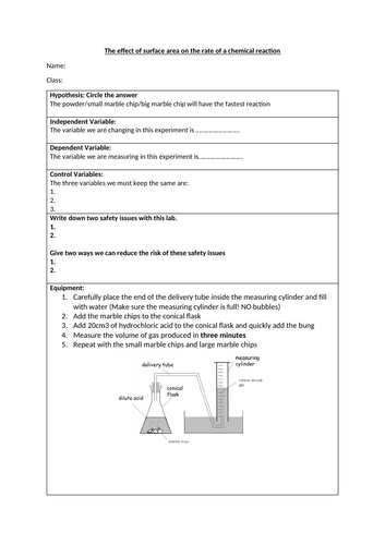 lab reaction rate assignment lab report