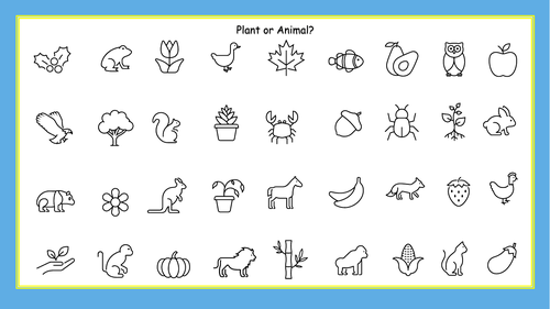 Sorting Plants and Animals Worksheets KS1 | Teaching Resources