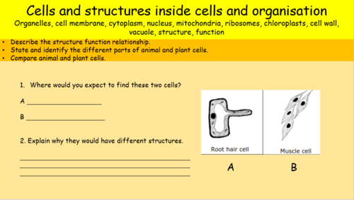 Cells and structures inside cells, KS3, KS4, GCSE | Teaching Resources