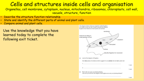 Cells and structures inside cells, KS3, KS4, GCSE | Teaching Resources