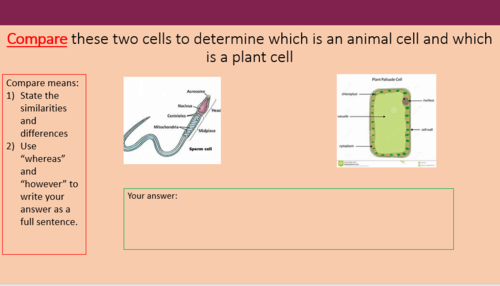 Cell structure, KS3, KS4, GSCE