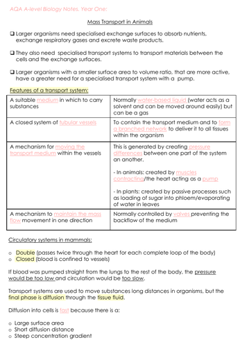 A level Biology - Mass Transport in Animals (AQA Notes) | Teaching Resources