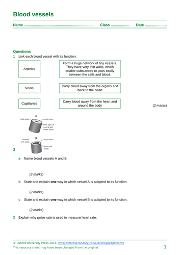 AQA combined science trilogy Biology GCSE Topic 2 (B3-B4) Organisation ...