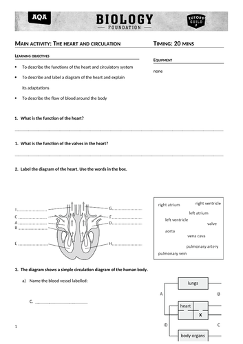 AQA combined science trilogy Biology GCSE Topic 2 (B3-B4) Organisation ...