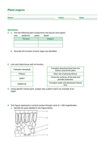 AQA combined science trilogy Biology GCSE Topic 2 (B3-B4) Organisation ...
