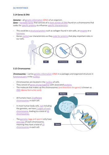 Reproduction & Inheritance | (I)GCSE Biology Detailed Notes | Teaching ...