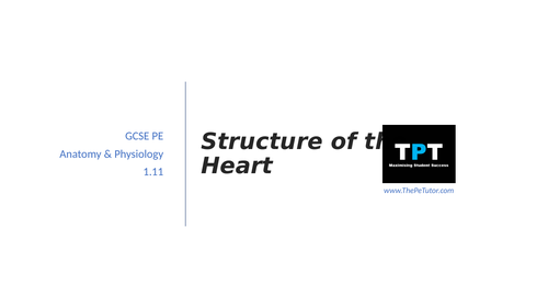 AQA GCSE PE - Structure of The Heart | Teaching Resources
