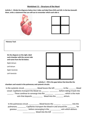 AQA GCSE PE - Structure of The Heart | Teaching Resources