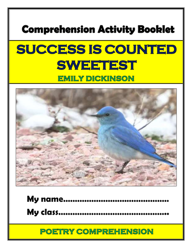 Success is Counted Sweetest - Comprehension Activities Booklet!