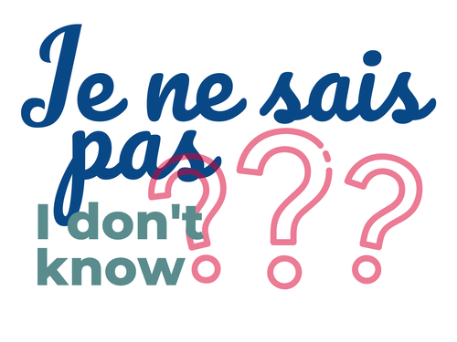 french-classroom-phrases-printable-posters-set-of-12-class