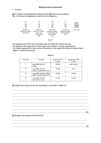 docx, 64.09 KB