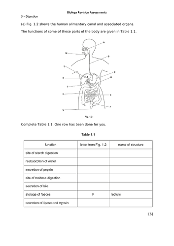 docx, 78.93 KB