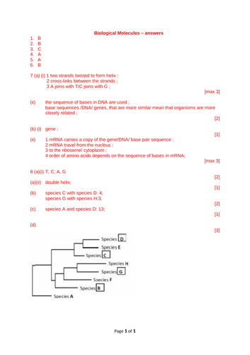 docx, 41.95 KB