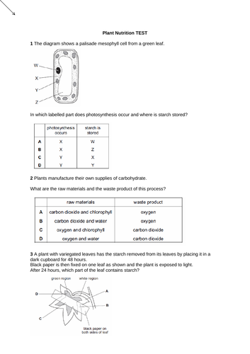 Biology IGCSE (CIE) End of Topic Tests - full set | Teaching Resources