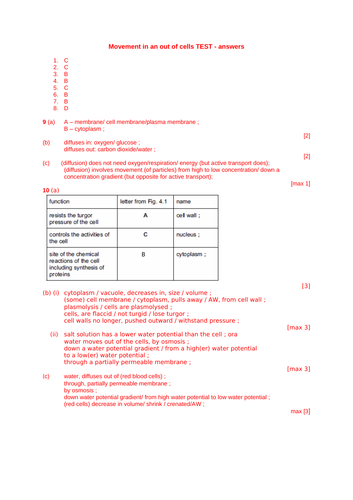 docx, 37.99 KB