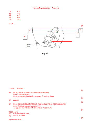 docx, 119.83 KB