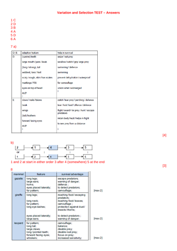 docx, 101.86 KB