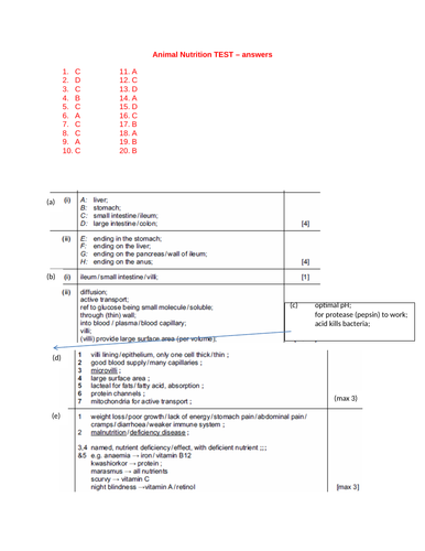 docx, 108.74 KB