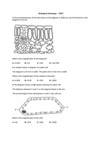 docx, 171.4 KB