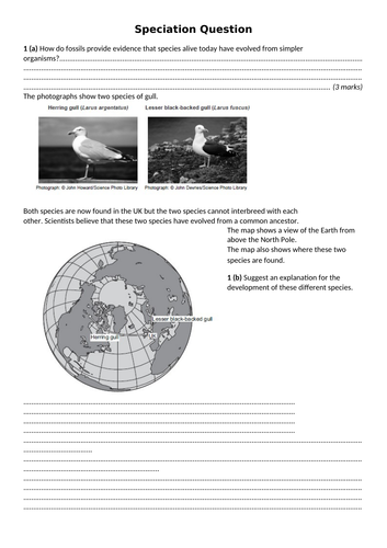 AQA GCSE Biology (9-1) B15.5-7 Evidence for evolution - FULL LESSON