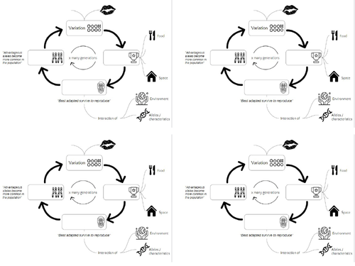 AQA GCSE Biology (9-1) B15.5-7 Evidence for evolution - FULL LESSON ...