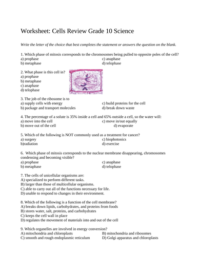 CELLS REVIEW WORKSHEET WITH ANSWERS Biology Cell Organelles & Cell Division (12PG)