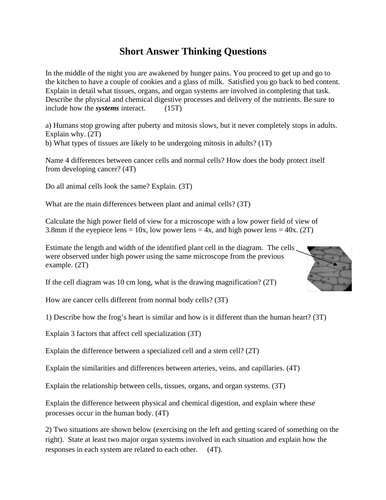 BIOLOGY UNIT Cell Division and Organelles, Tissues, Organ Systems Short Answer Grade 10 Science 33PG