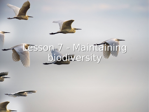 AQA GCSE Biology (9-1) B18.7 Maintaining biodiversity - FULL LESSON
