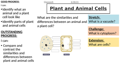 Activate B1 Cells - Observing Cells (KS3)