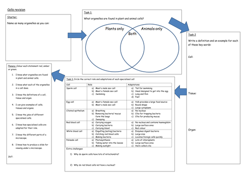 Activate B1 Cells - Revision Mat (KS3)