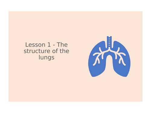 KS3 Science | 3.8.3 Breathing - Lesson 1 - Structure of the lungs FULL LESSON