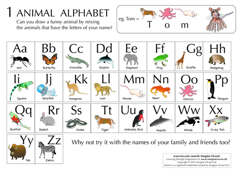 Animal Alphabet 1 - draw your name as an animal! | Teaching Resources