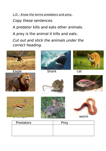 KS2 FOOD CHAINS Science Unit - 2 Outstanding Lessons | Teaching Resources