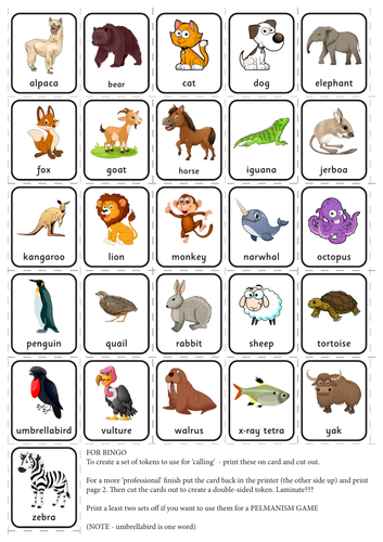 ANIMAL ALPHABET - WORDSEARCH - BINGO - PELMANISM etc | Teaching Resources