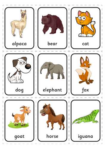 ANIMAL ALPHABET - WORDSEARCH - BINGO - PELMANISM etc | Teaching Resources