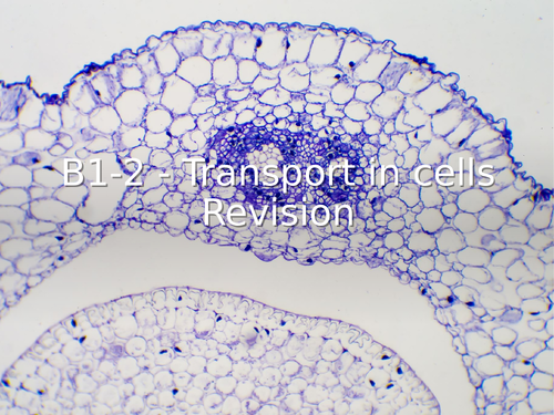 AQA GCSE Biology (9-1) B1-2 Transport in cells REVISION LESSON