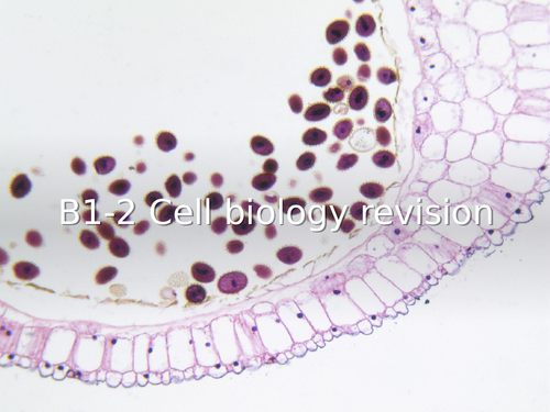 AQA GCSE Biology (9-1) B1-2 Cell Biology REVISION LESSON