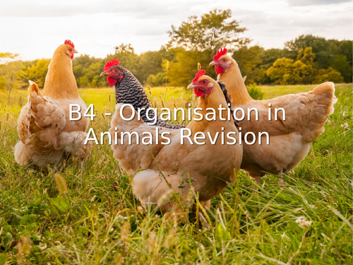 AQA GCSE Biology (9-1) B4 Organisation in animals REVISION LESSON