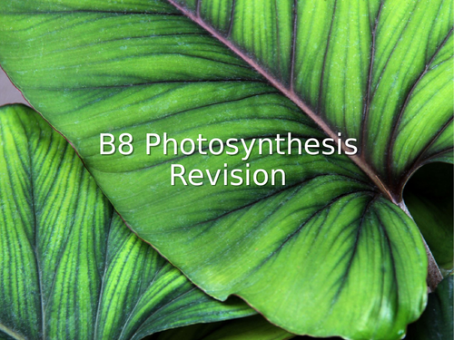 AQA GCSE Biology (9-1) B8 Photosynthesis REVISION LESSON | Teaching ...