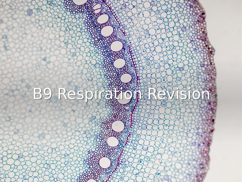 Aqa Gcse Biology B9 _ B9.3 Anaerobic respiration – YTEX