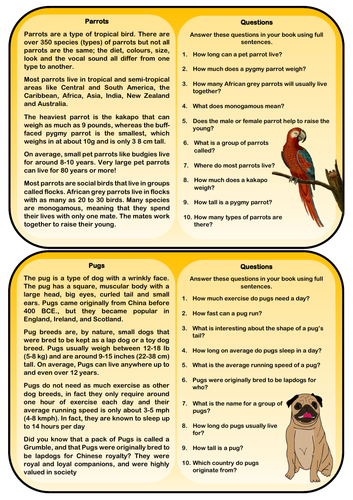 20 Animal Reading Comprehension Cards | Teaching Resources