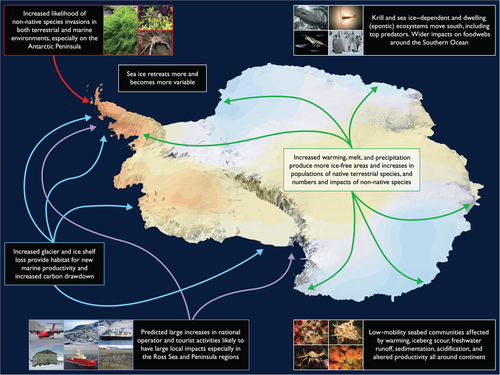 Sustainable Tourism Development- Antarctica and the Role of IAATO ...