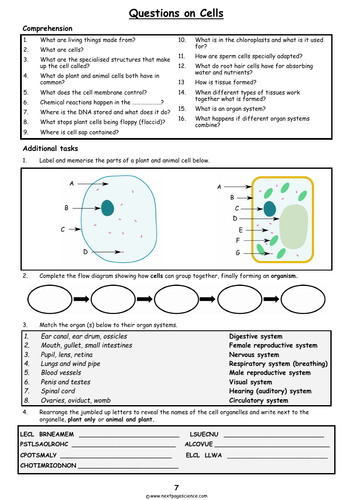 Cells | Teaching Resources