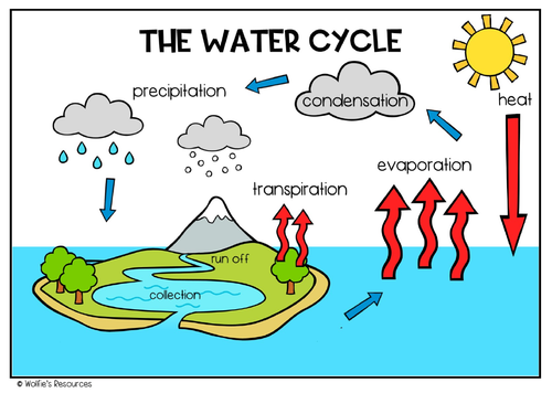 water cycle diagram labeled for teenagers